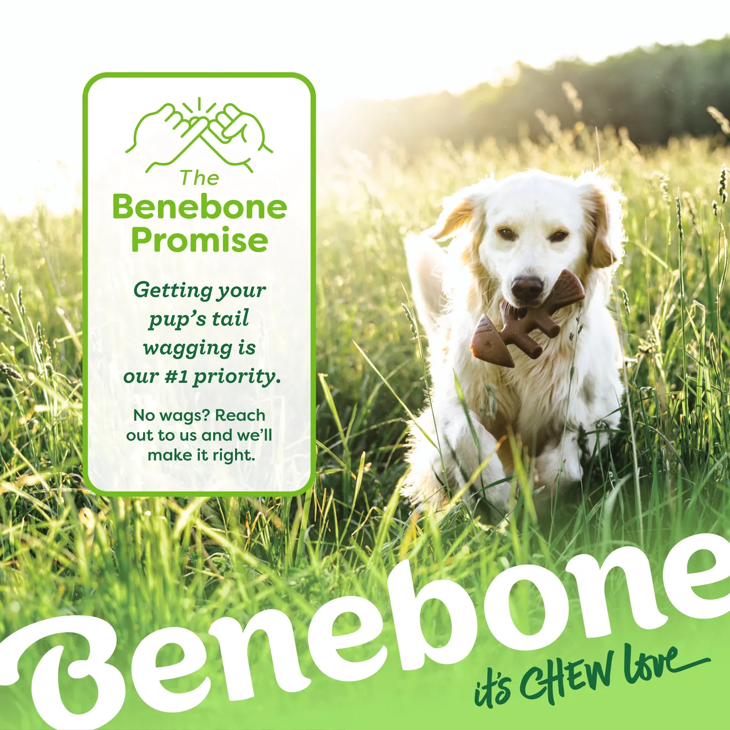 Benebone Fishbone tuggben Medium lax nylon