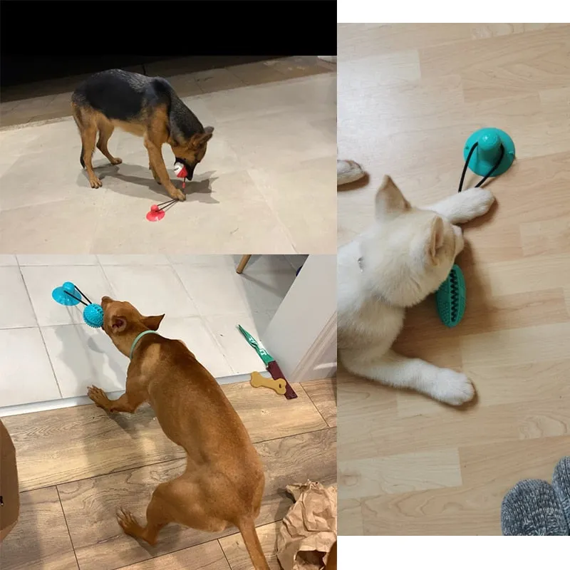 Pawtato Treat Dispensing boll hundleksak med rep