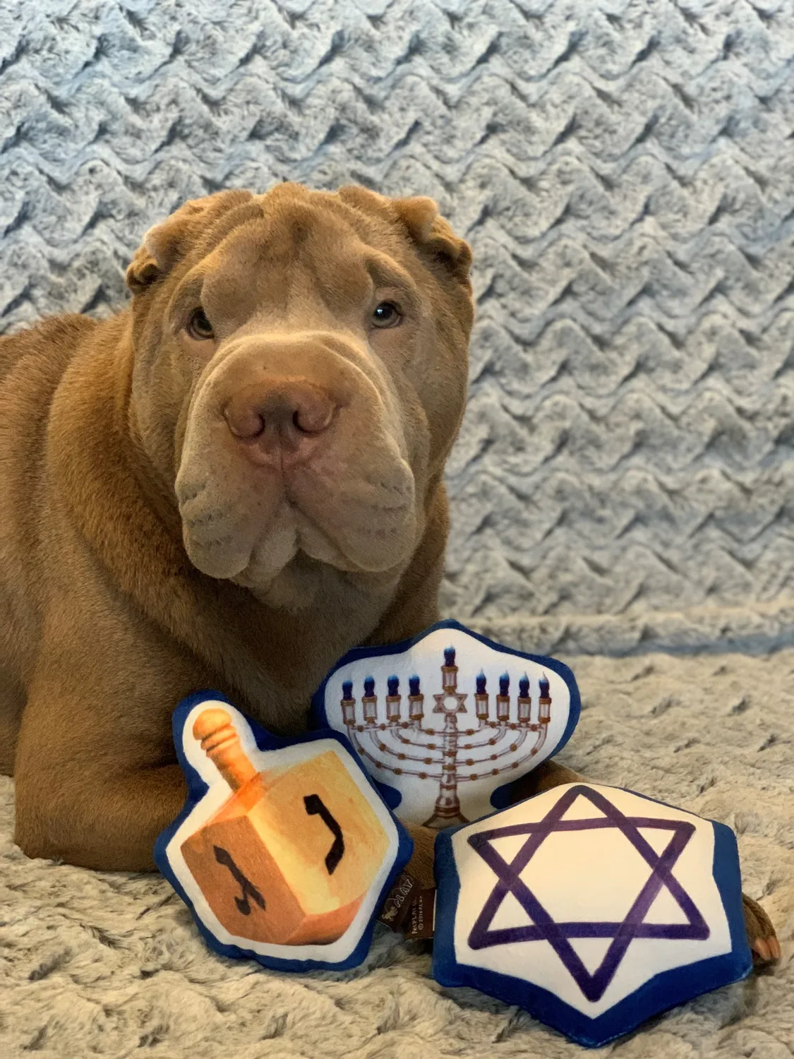 P.L.A.Y. Hanukkah Toy Set mjuk hundleksak pip S-M