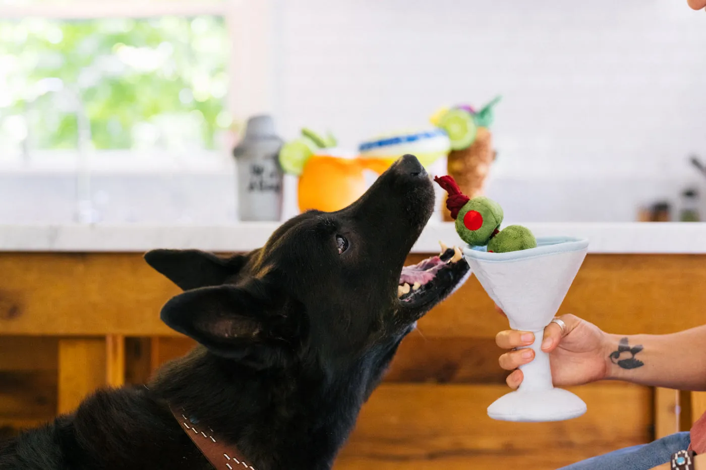 P.L.A.Y. Pawtini hundleksak martini med pip
