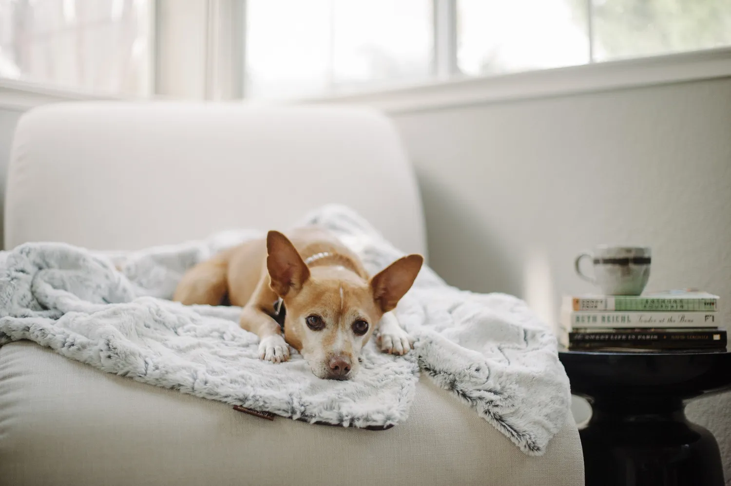 P.L.A.Y. Luxe Throw hundfilt vattenavvisande