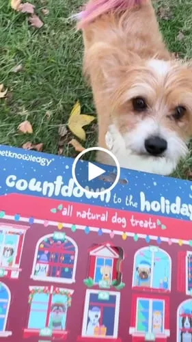 Spunky Pup Holiday adventskalender hund 25 luckor jordnöt