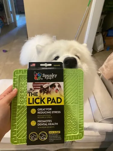 Spunky Pup Lick Pads slickmatta Square orange