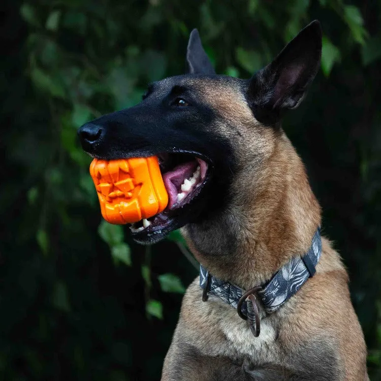 SodaPup Jack O Lantern tuggleksak large pumpa