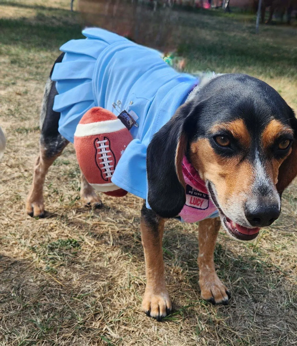 P.L.A.Y. Back to School Fido's Football hundleksak pip