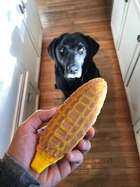 SodaPup Corn on the Cob tuggleksak nylon gul
