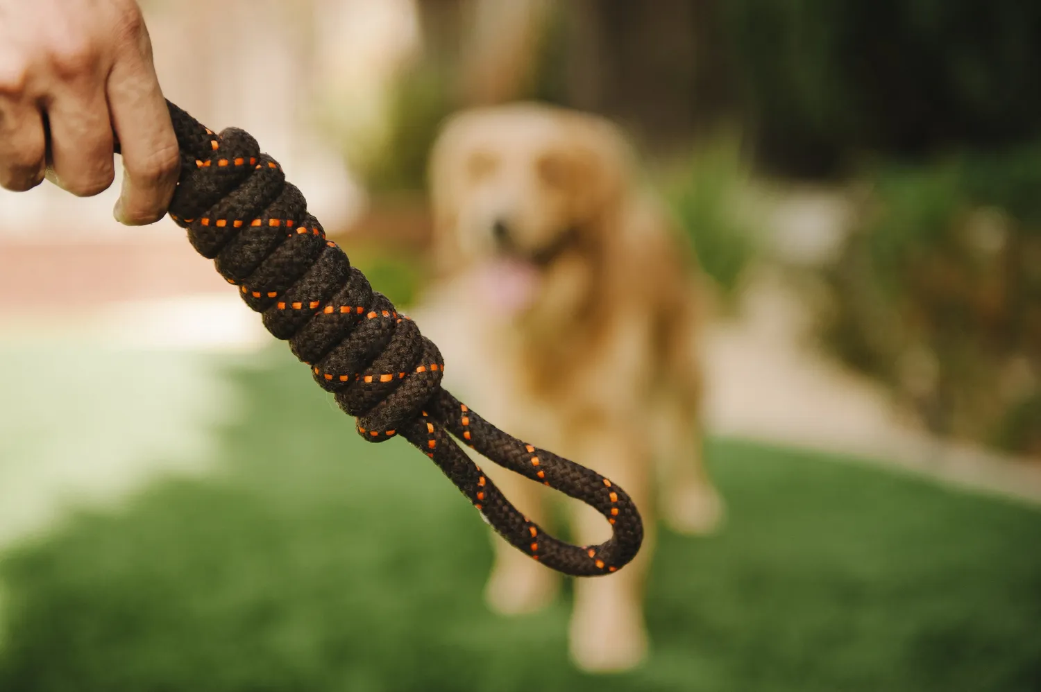 P.L.A.Y. Scout About Tug Rope kampleksak S dragkamp