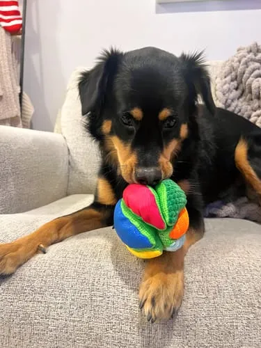 Spunky Pup Stuffies mjukisleksak Tangle Regular med godisfack