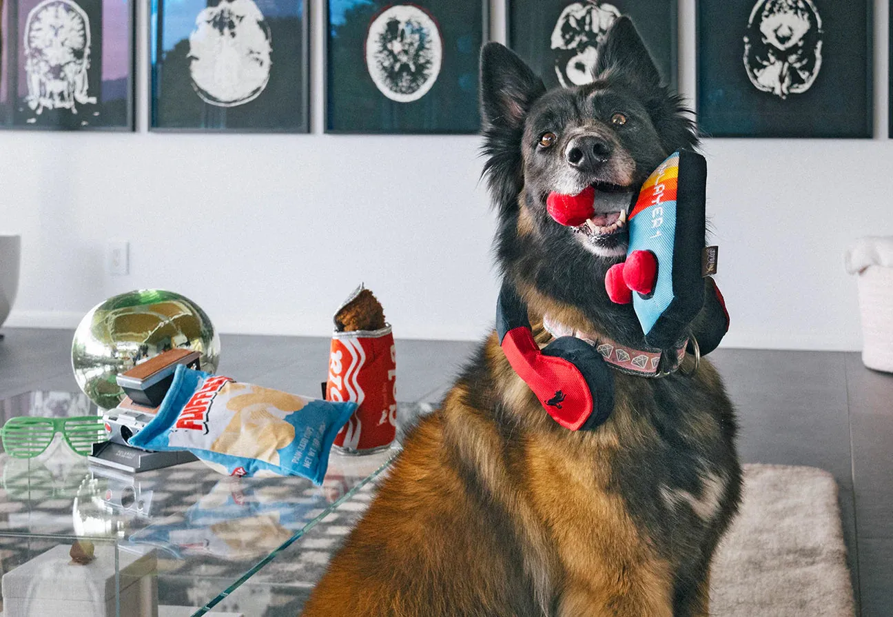 P.L.A.Y. 80s Classics Ready Player Fun hundleksak med rep