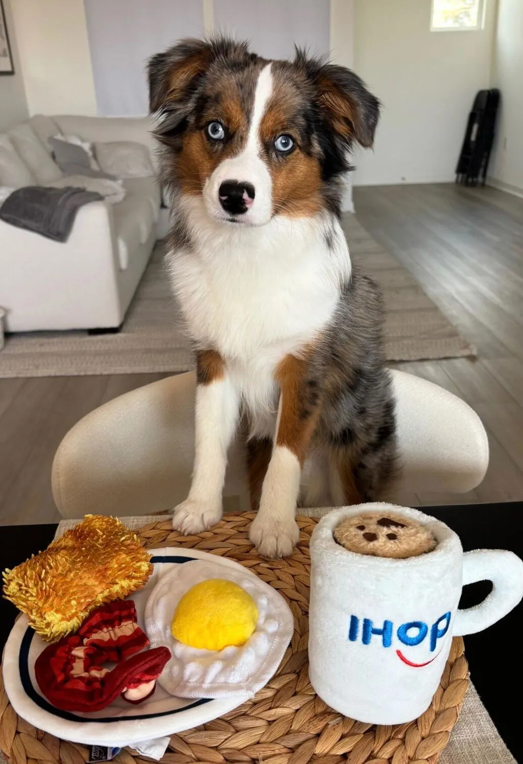 P.L.A.Y. IHOP Pancake Pup Stack hundleksak dragrep