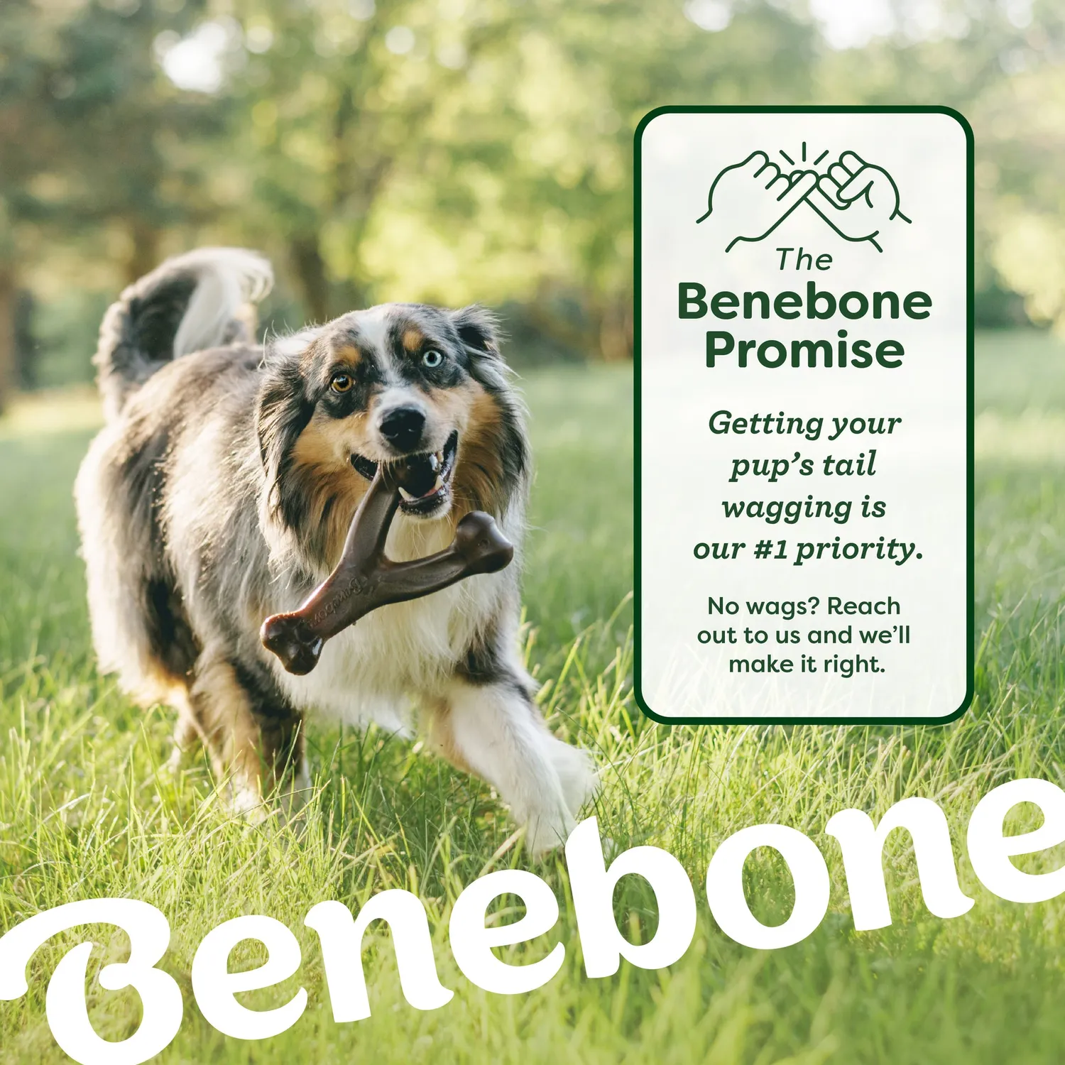 Benebone Chew & Chase Duo tuggleksak Medium 2-pack bacon
