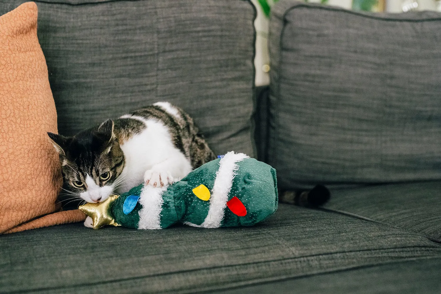 P.L.A.Y. Feline Frenzy O Christmas Tree kattleksak kattmynta