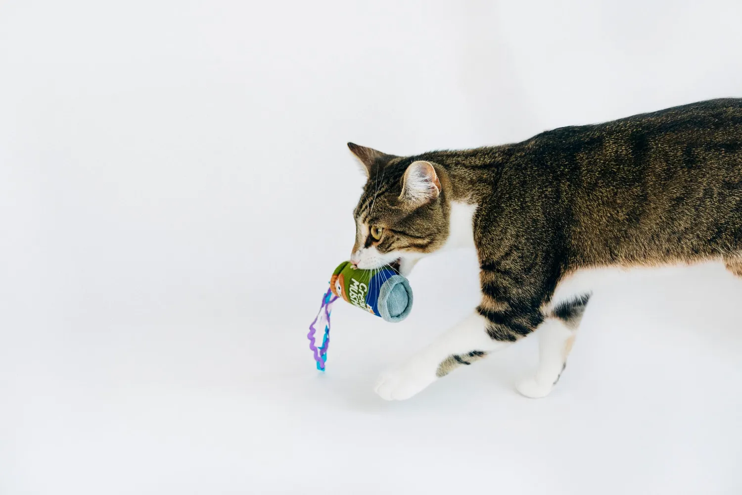 P.L.A.Y. Feline Frenzy Purrfectly Fungi kattleksak svamp
