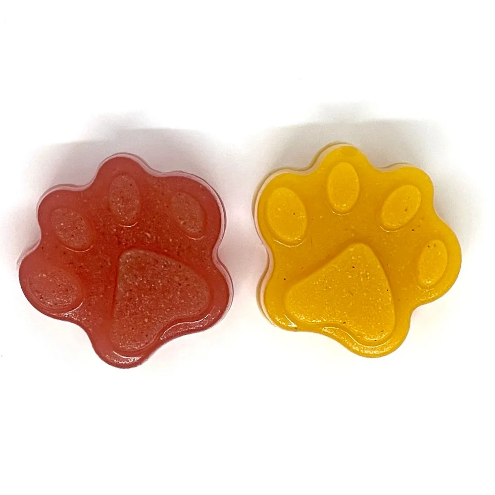 SodaPup Dogtastic Jelly Shots godisform tass silikon