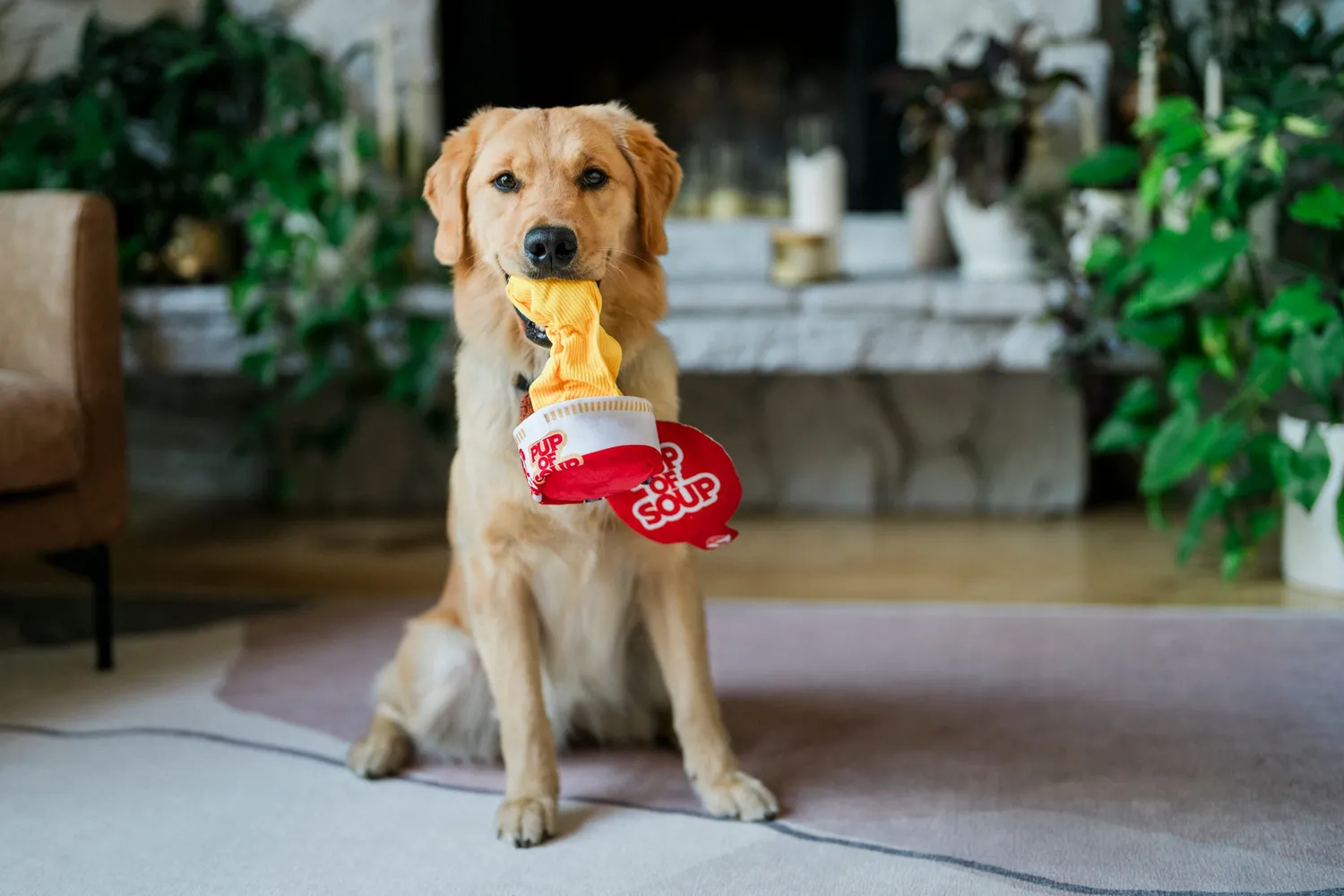 P.L.A.Y. Pup of Soup hundleksak prassel pip