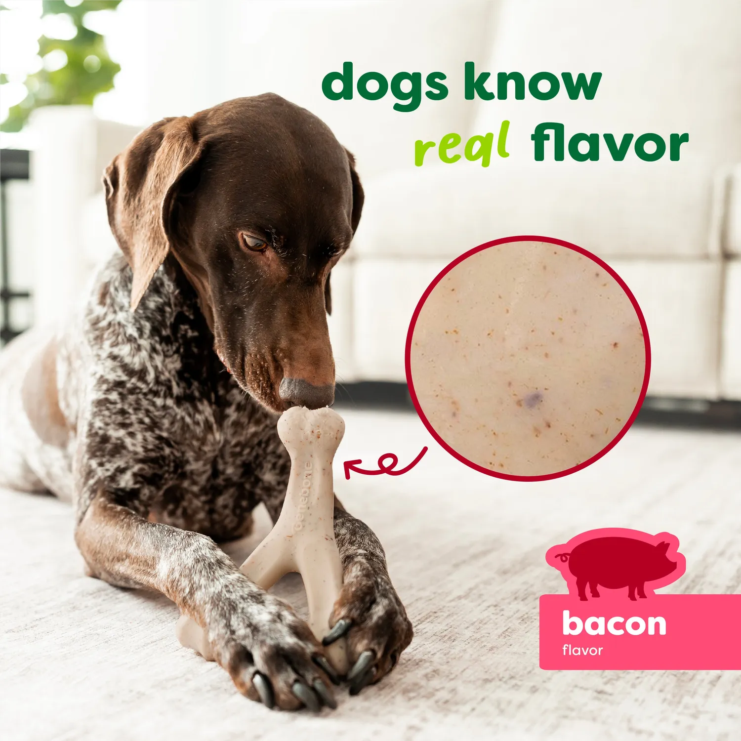 Benebone Green Wishbone tuggben bacon
