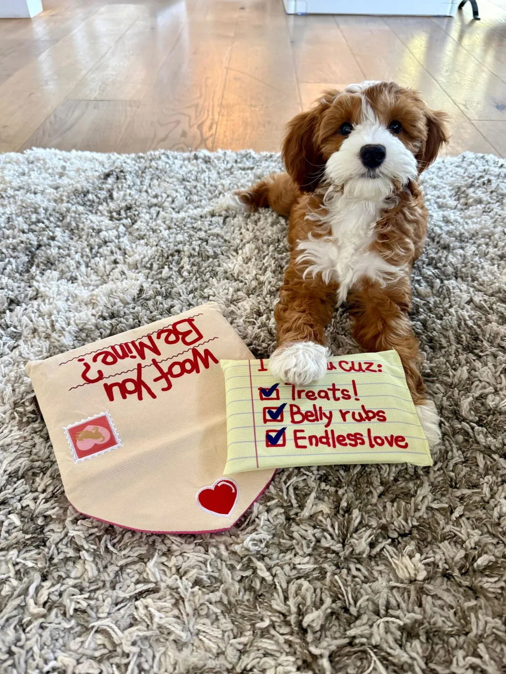 P.L.A.Y. Love Bug Ruv Letter hundleksak brev med pip