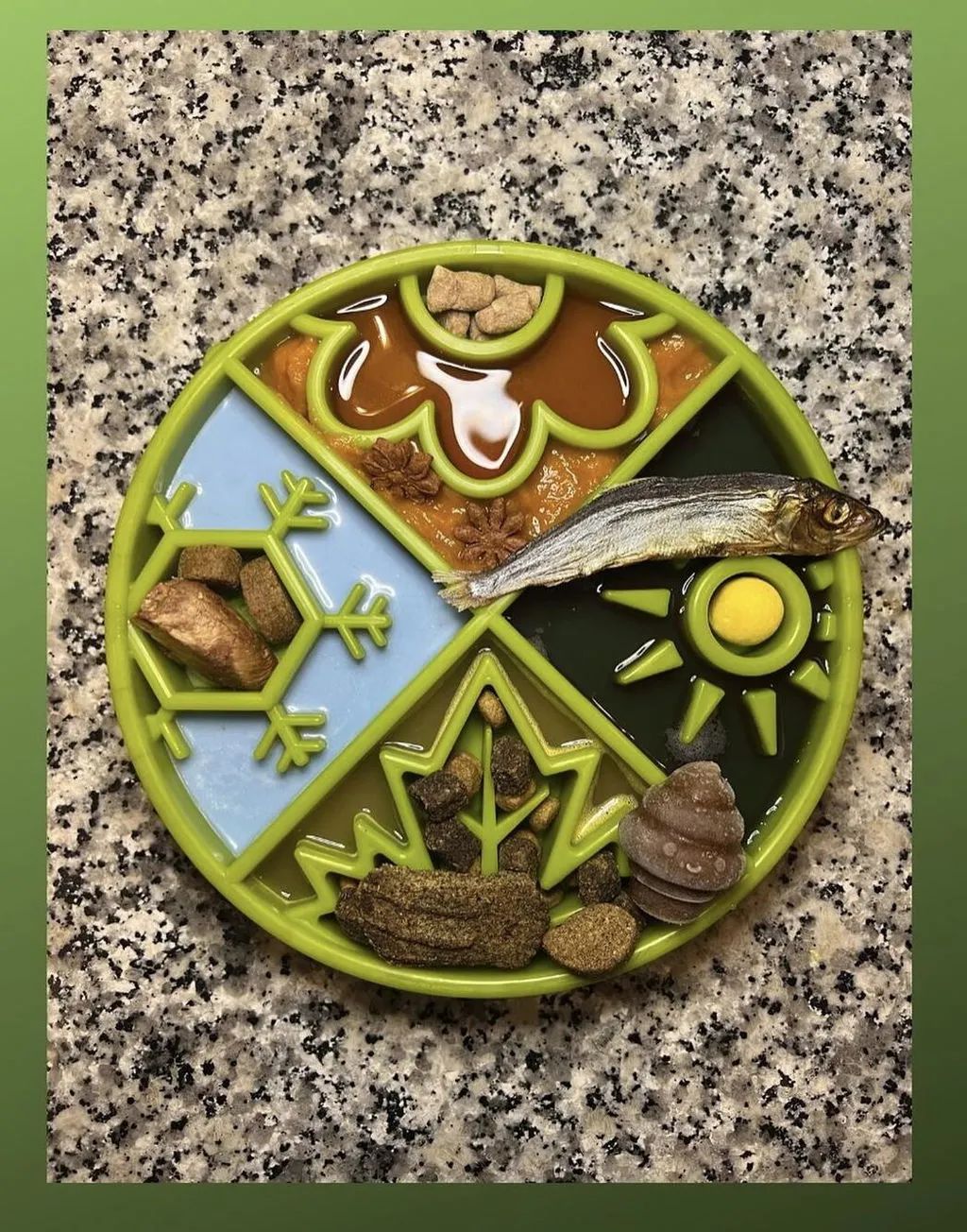 SodaPup Sun and Moon eTray slickmatta hund orange yin yang