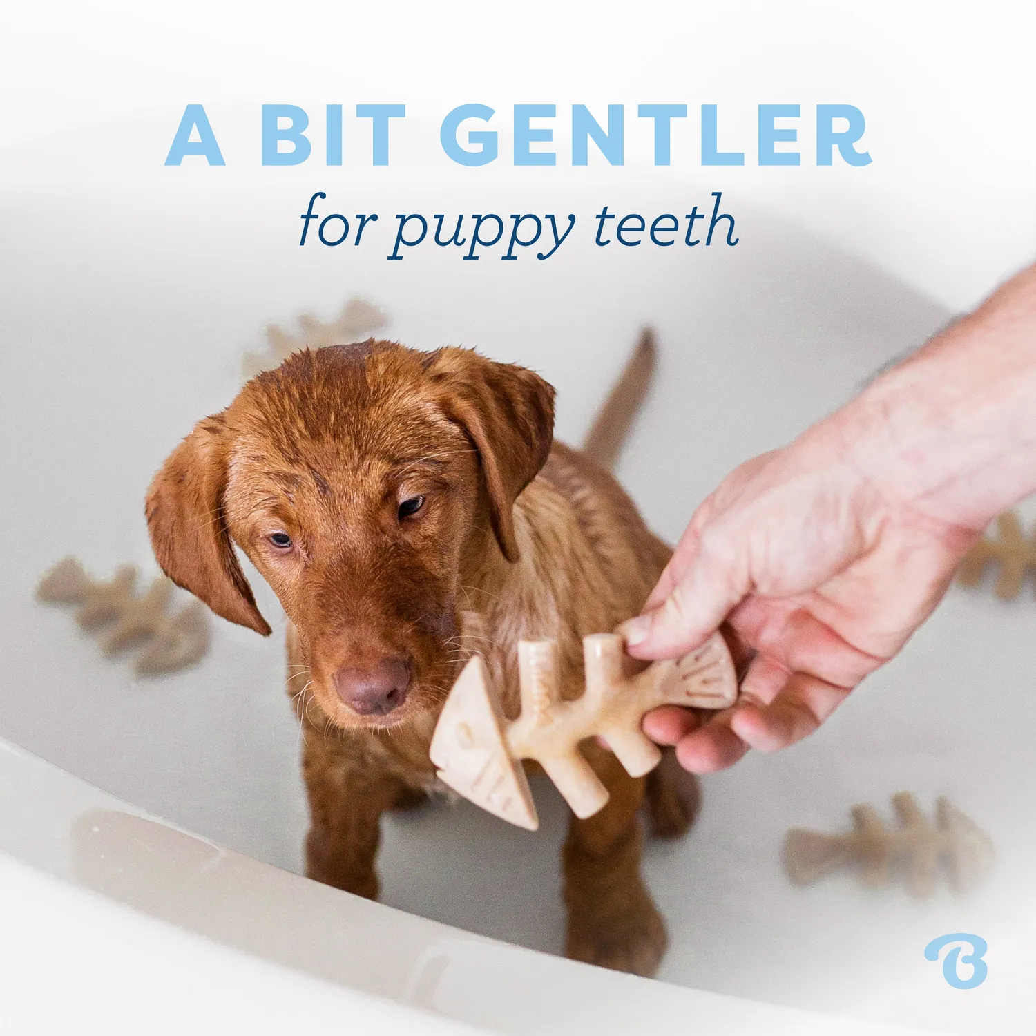 Benebone Puppy Fishbone tuggben tiny lax