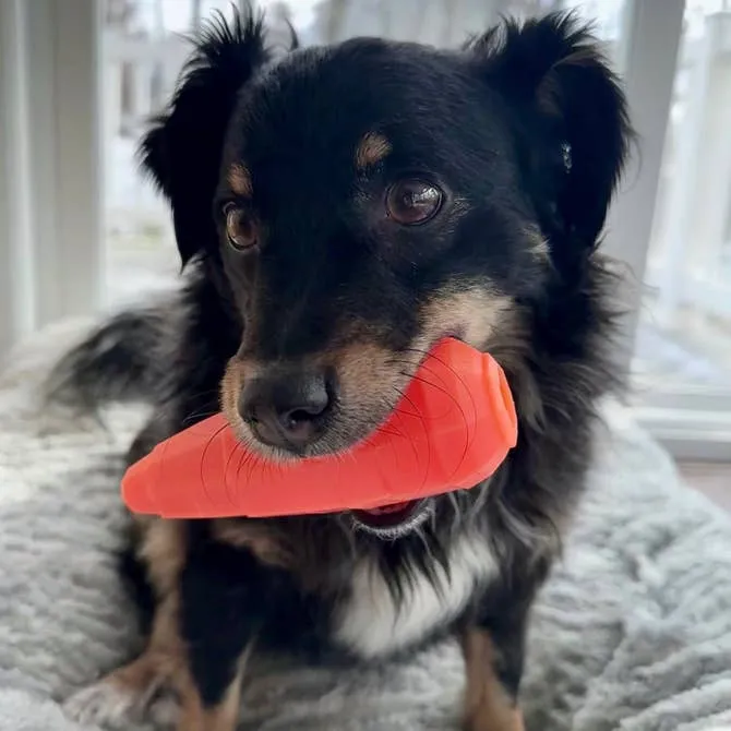 Spunky Pup Fruits Veggies godisleksak hund Banan gummi