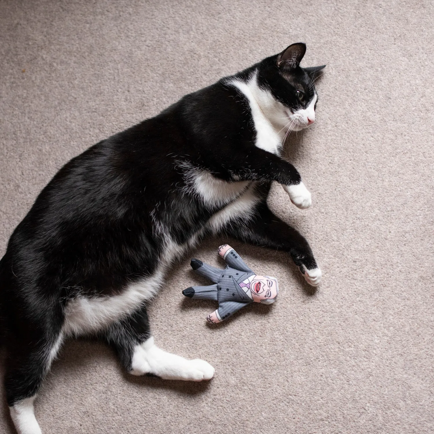 Pet Hates Toys Nigel Farage kattleksak 12 cm kattmynta