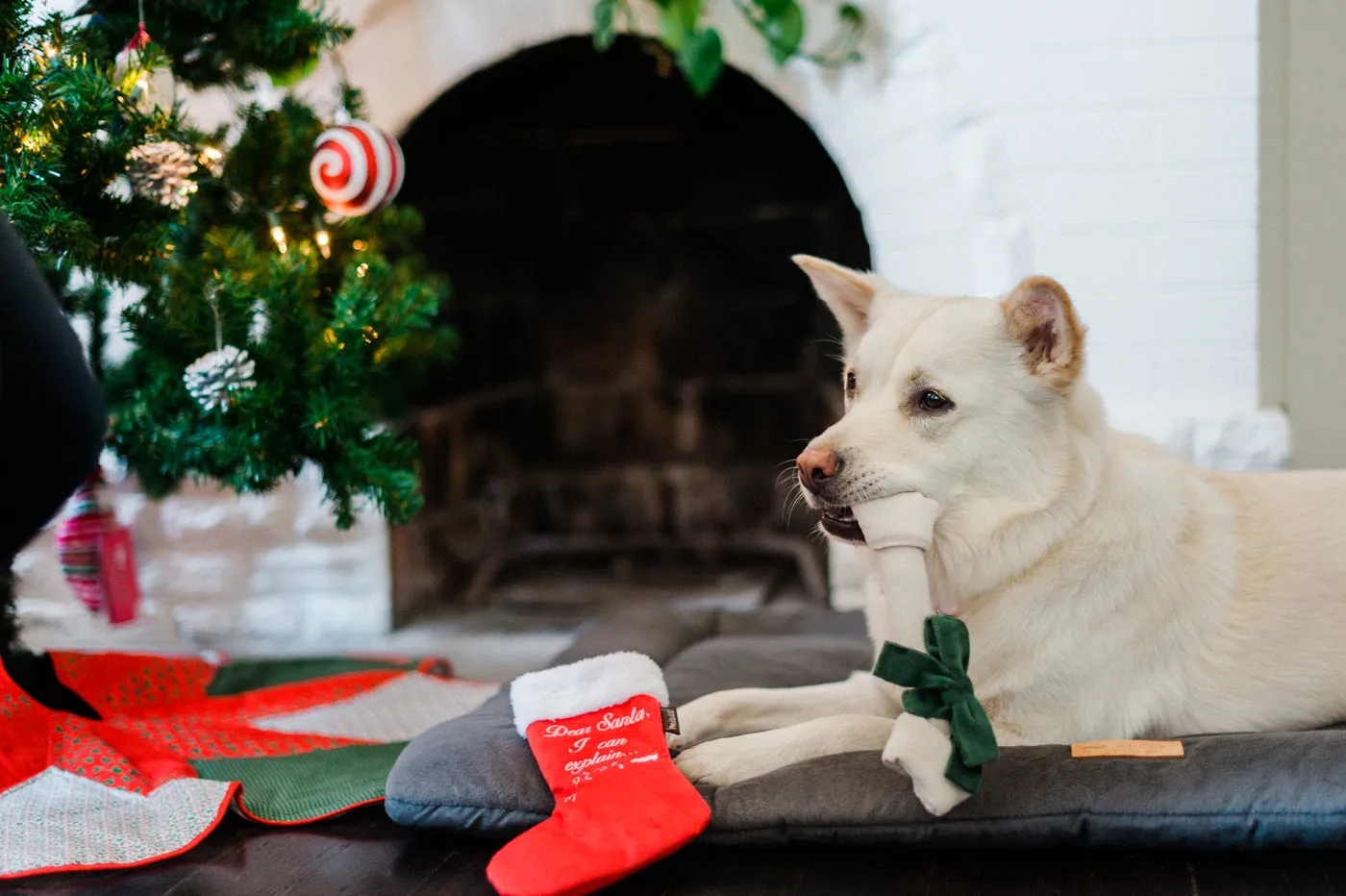 P.L.A.Y. Merry Woofmas Good Dog Stocking hundleksak strumpa prassel