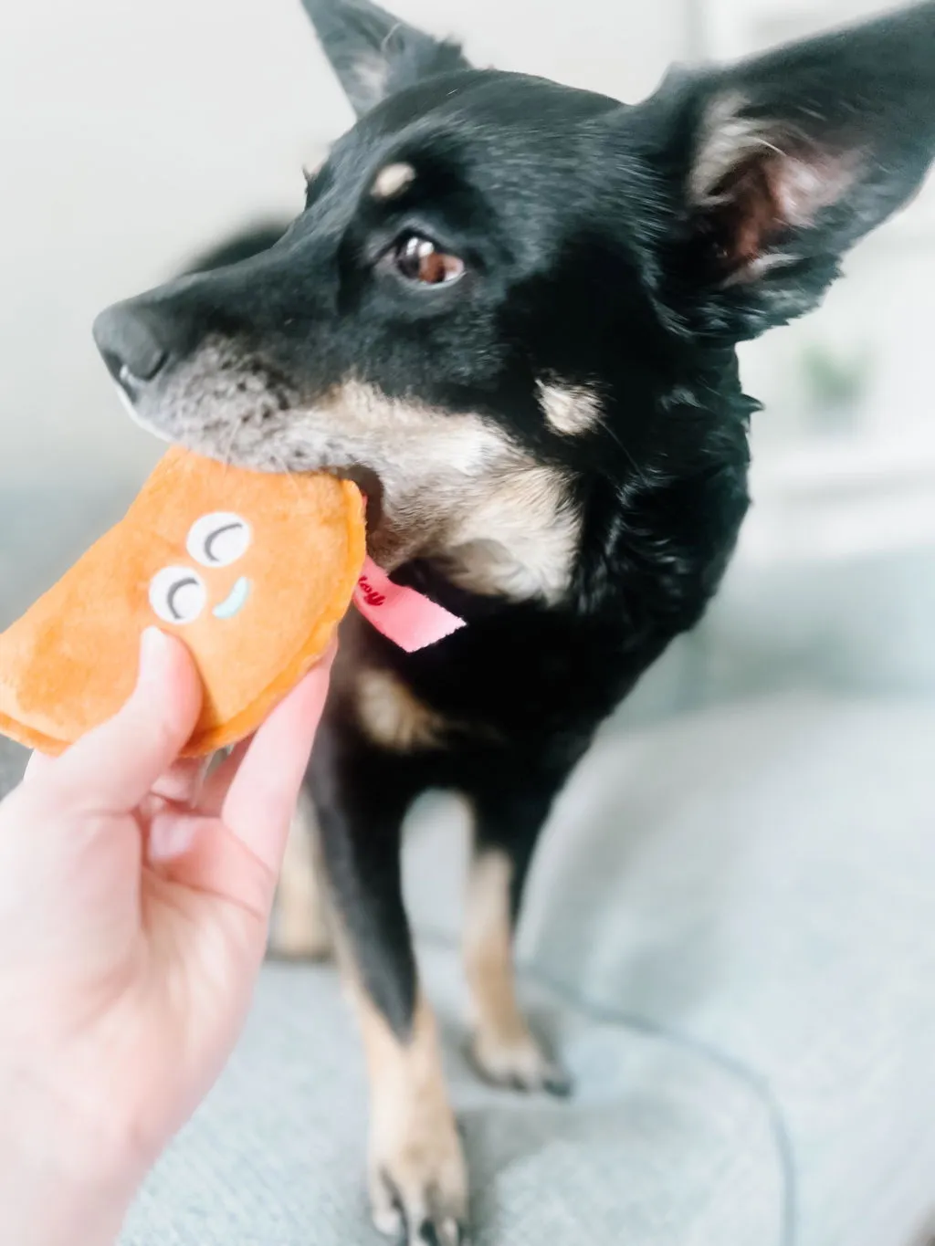 P.L.A.Y. Fog City Lucky Treats aktiveringsleksak
