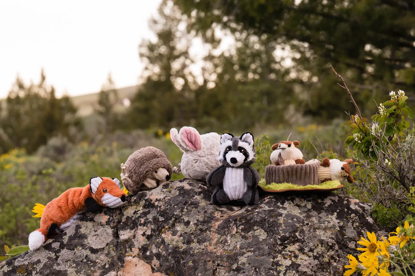P.L.A.Y. Forest Friends Collection hundleksak 5-pack