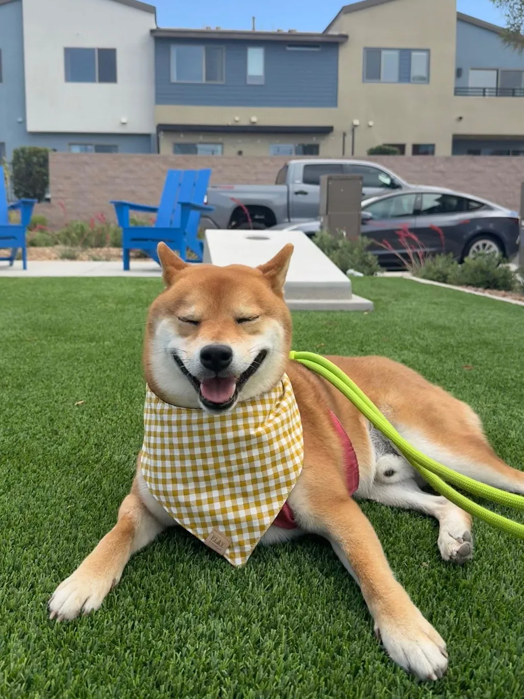 P.L.A.Y. Doggy Duo The Adventurer hundbandana bomull