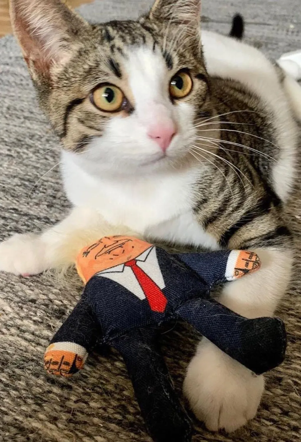 Pet Hates Toys Donald Trump kattleksak kattmynta