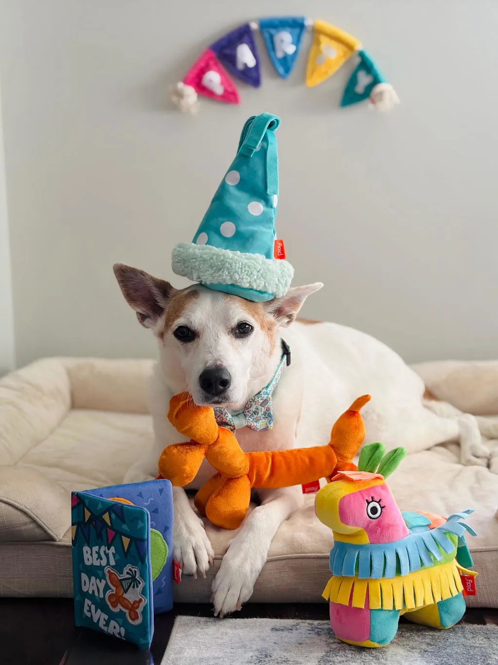 P.L.A.Y. Party Animal Collection hundleksak set pip