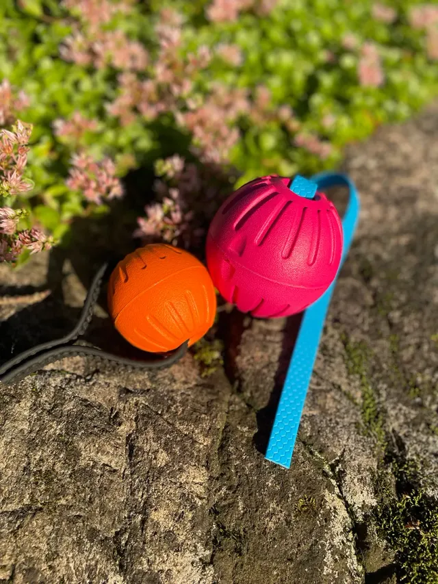 NewDog Foamboll hexaband hundboll 7 cm flytande