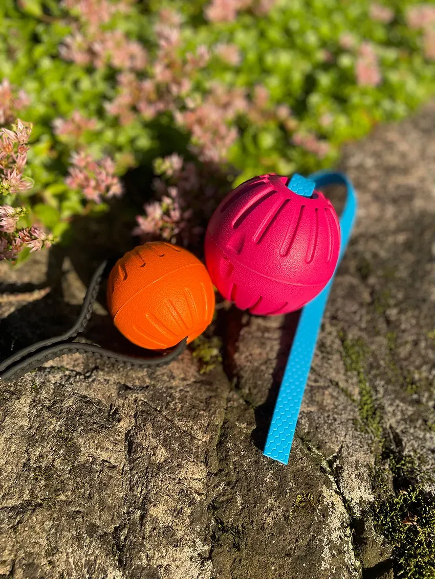 NewDog Foamboll hexaband hundboll 7 cm flytande