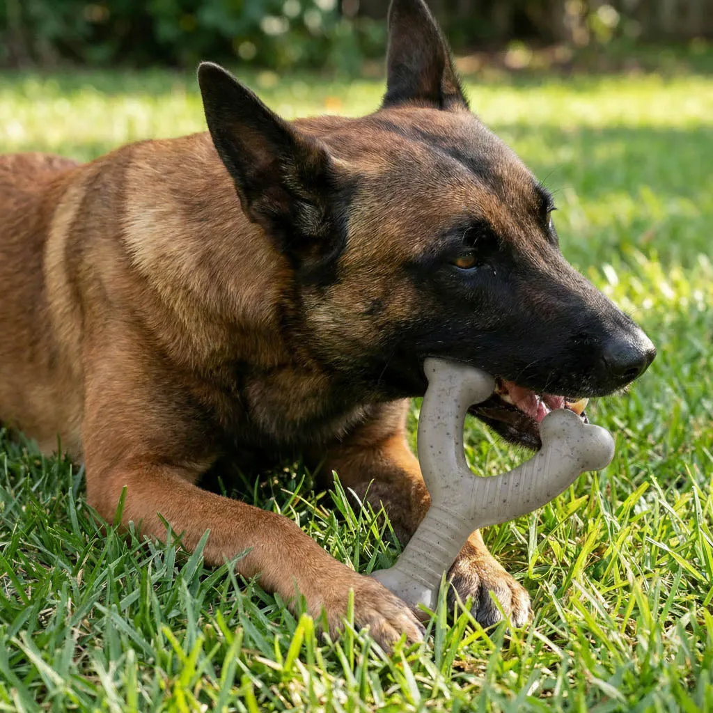 USA-K9 Stars and Stripes Wishbone tuggleksak medium