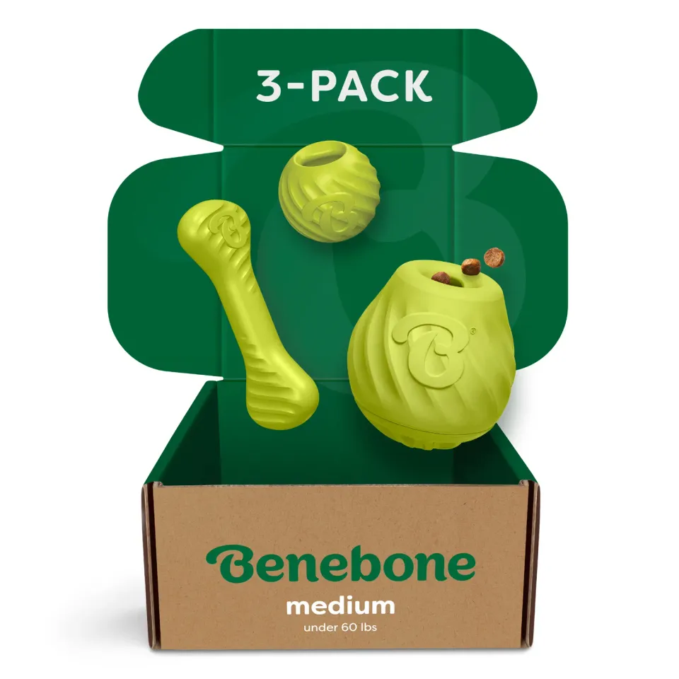 Benebone Chew Chase Challenge Trio hundleksak 3-pack gummi