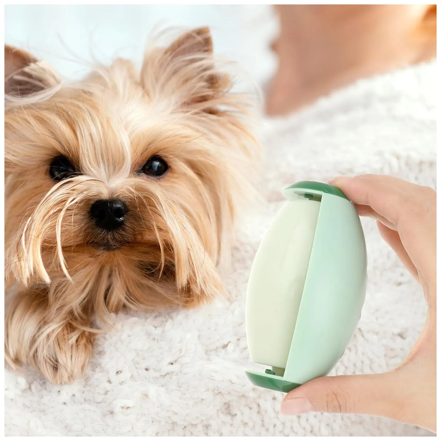 Pawtato pälsroller hund tvättbar silikon 1-pack