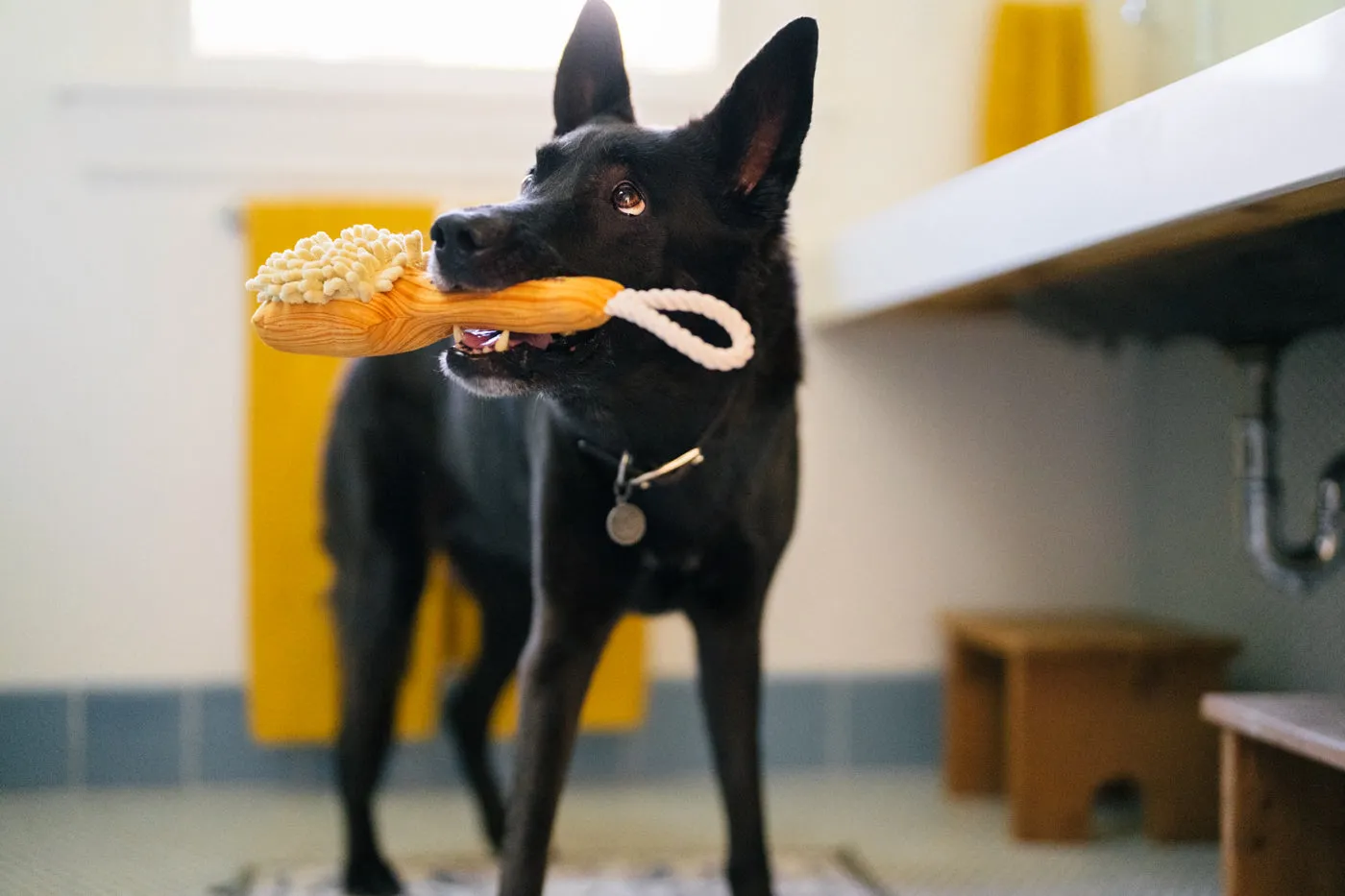 P.L.A.Y. Splish Splash Bark Bristles mjukisleksak med rep